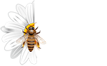 Honey LiLe